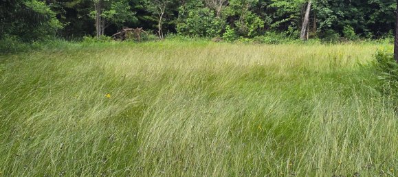 Земельный участок в Венигцелль, Австрия № 130456 7