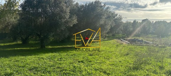 13 rooms Villa in Vetralla, Italy No. 201314 27