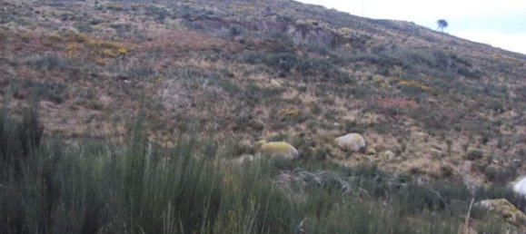 Grundstück in Marco de Canaveses, Portugal, Nr. 56218 4