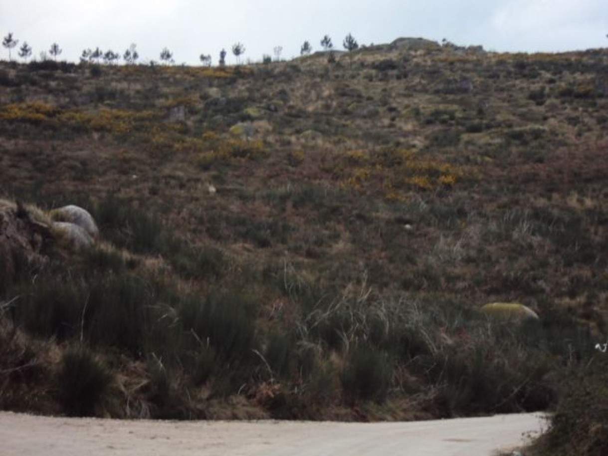 Grundstück in Marco de Canaveses, Portugal, Nr. 56218