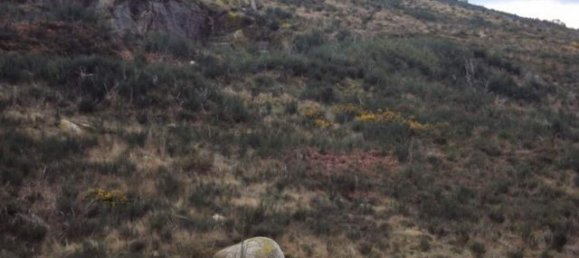 Grundstück in Marco de Canaveses, Portugal, Nr. 56218 6