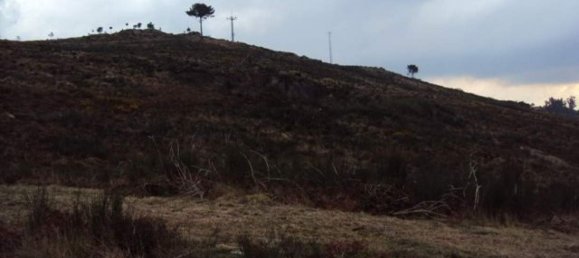 Grundstück in Marco de Canaveses, Portugal, Nr. 56218 3