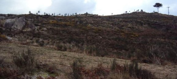 Grundstück in Marco de Canaveses, Portugal, Nr. 56218 2