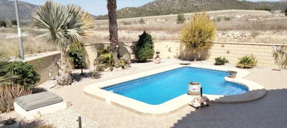 5 bedrooms House in La Romana, Spain No. 94590 5