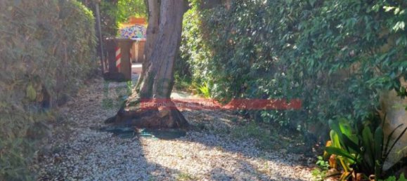 4 غرف نوم فيلا في Livorno, Italy رقم 179549 14