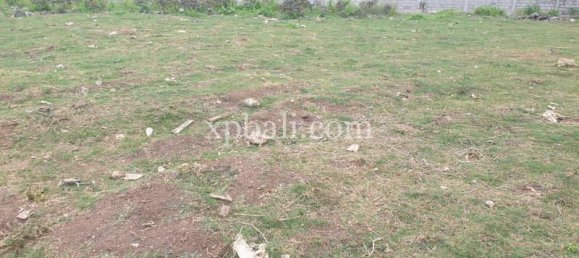 Terreno en Canggu, Indonesia 2800 m² No. 3740 3