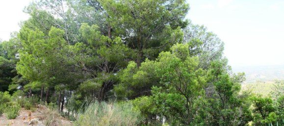 Terreno en Altea, Spain 9586 m² No. 777 7