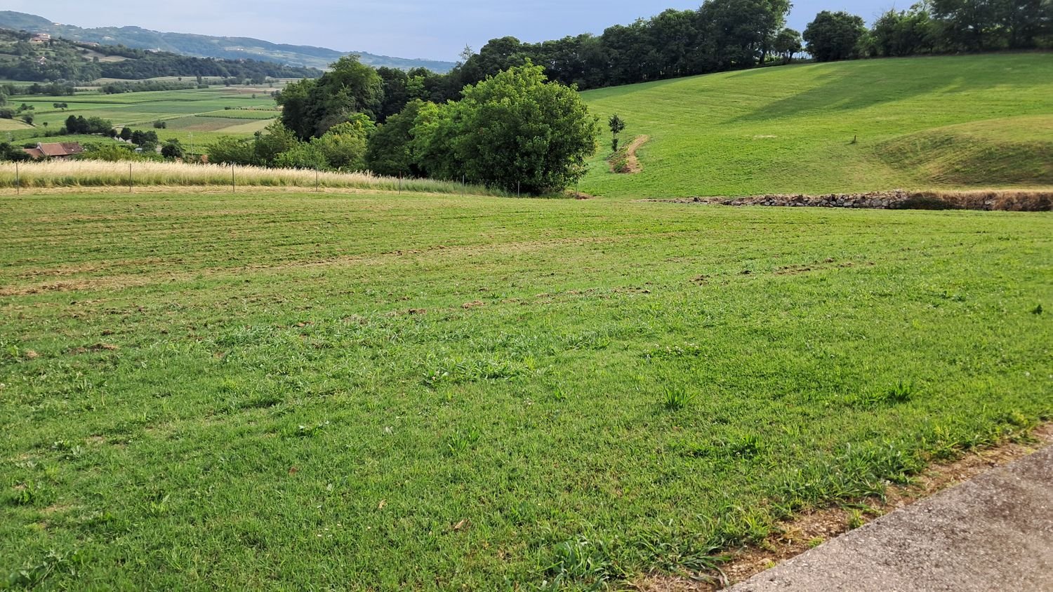 Grundstück in Brendola, Italy, Nr. 312379