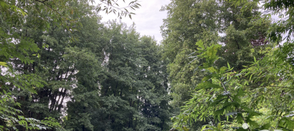 2 Schlafzimmer Haus in Grand-Fougeray, France, Nr. 86549 9