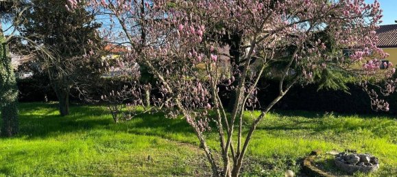 3 bedrooms Villa in Albignasego, Italy No. 321691 23