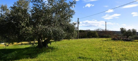 Casa de 2 divisões em Cisternino, Italy N.º 66989 4