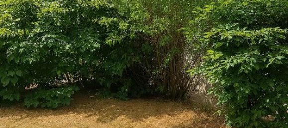 Imóvel comercial T2 em Corbeil-Essonnes, France N.º 360965 8