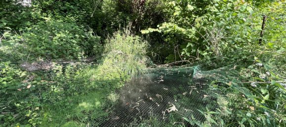 4 bedrooms House in Epagny, France No. 84460 11