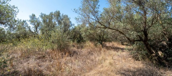 21000m² Land in Tarragona, Spain No. 190041 6