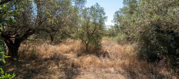21000m² Land in Tarragona, Spain No. 190041 3