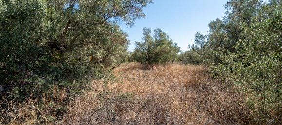 21000m² Land in Tarragona, Spain No. 190041 5