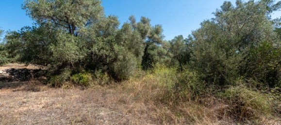 21000m² Land in Tarragona, Spain No. 190041 8