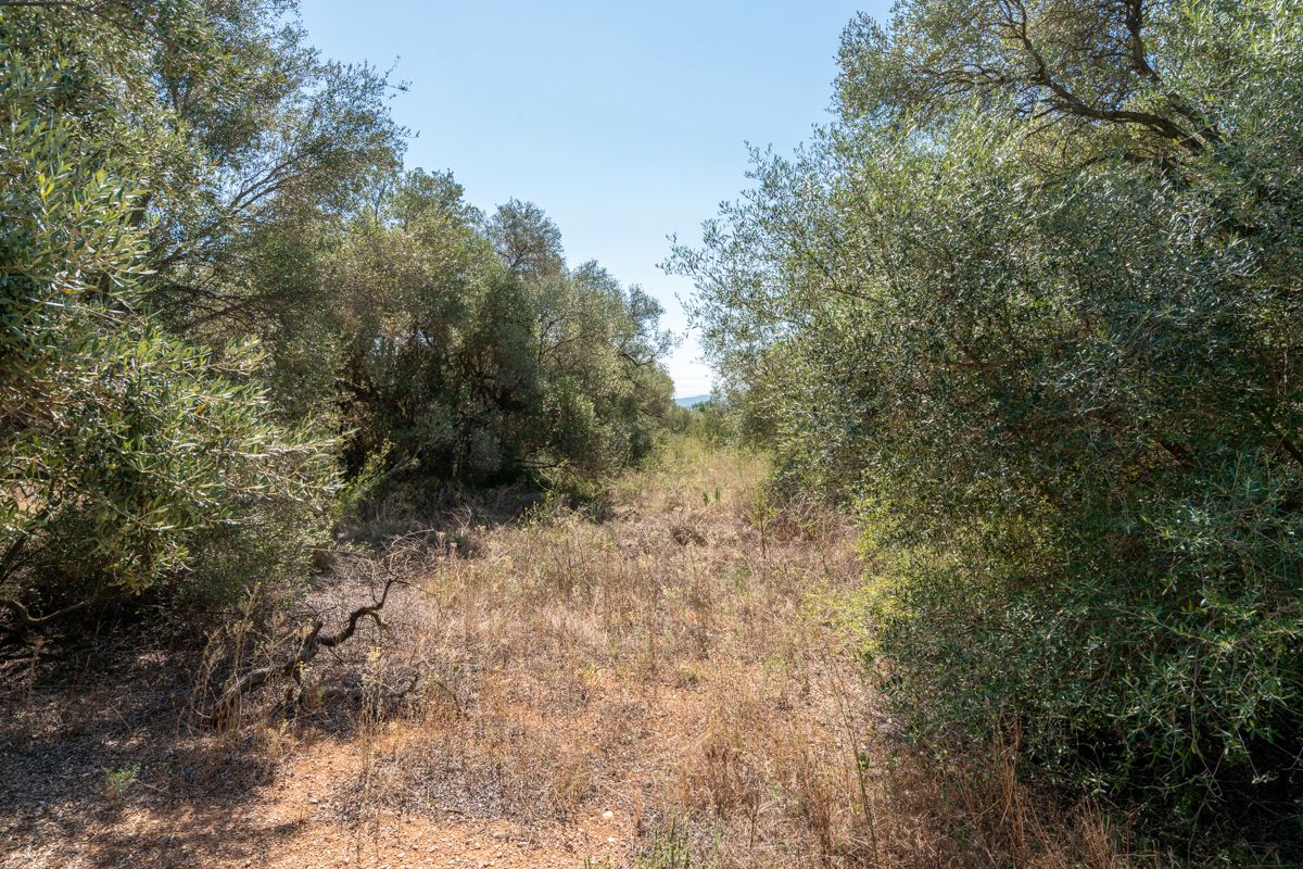 21000m² Land in Tarragona, Spain No. 190041