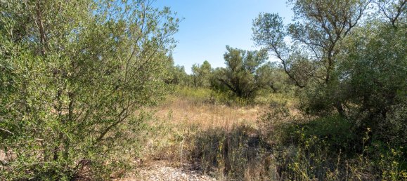 21000m² Land in Tarragona, Spain No. 190041 10