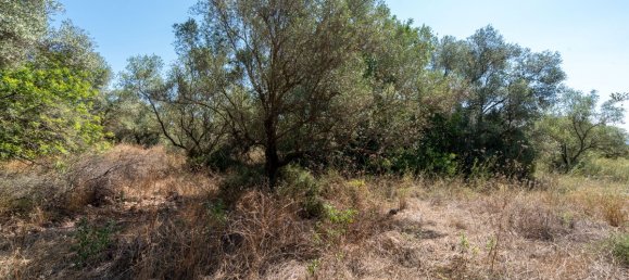 21000m² Land in Tarragona, Spain No. 190041 2