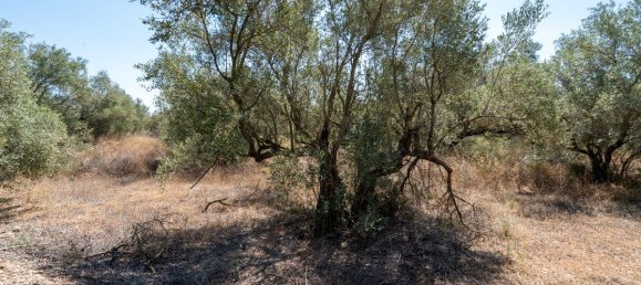 21000m² Land in Tarragona, Spain No. 190041 4