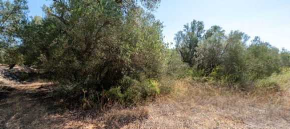 21000m² Land in Tarragona, Spain No. 190041 7