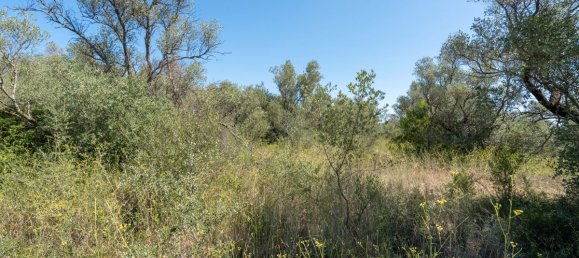 21000m² Land in Tarragona, Spain No. 190041 9