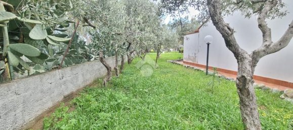 Gebäude in Catanzaro, Italy 600m², Nr. 188197 11