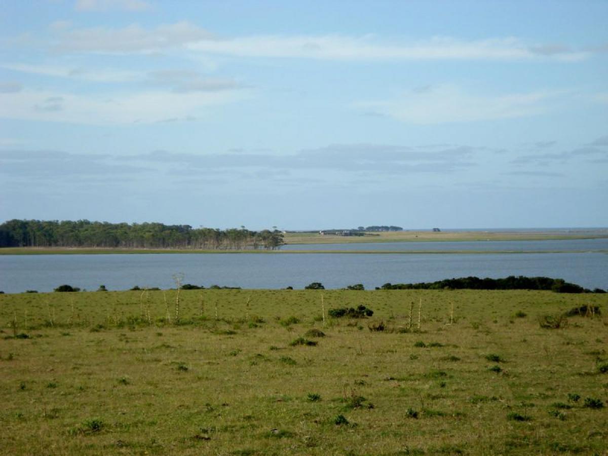  مزرعة في Maldonado, Uruguay 100متر مربع رقم 14910
