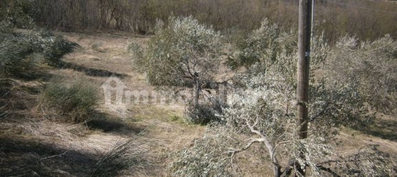 6 bedrooms House in Civitella del Tronto, Italy No. 124705 22