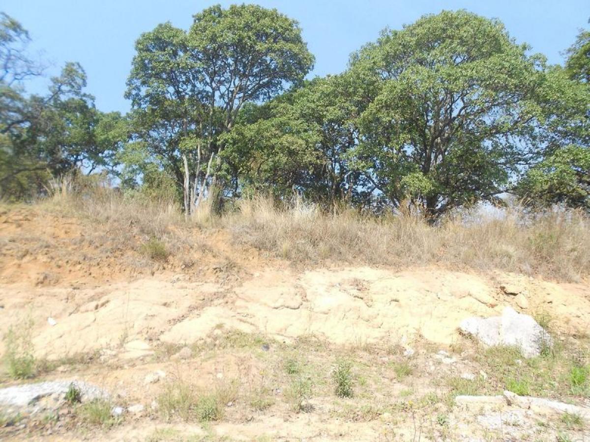  Land in Ciudad Lopez Mateos, Mexico No. 206249