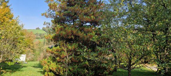 Terreno en Tullnerbach, Austria No. 136682 4