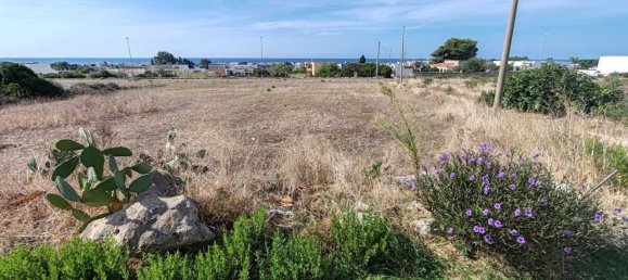 Terrain à Salve, Italy No. 376925 12