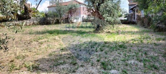 Casa T5 em Vouzela, Portugal N.º 19041 12