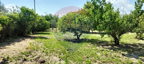 Casa T5 em Vouzela, Portugal N.º 19041 14