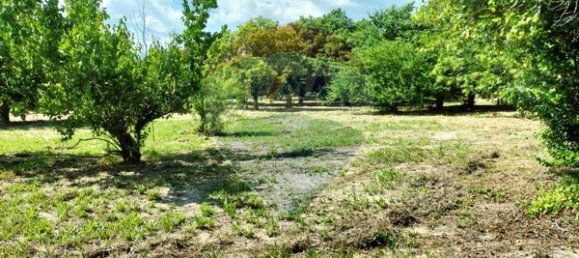 Casa T5 em Vouzela, Portugal N.º 19041 7