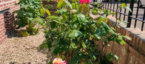 Adosado de 2 dormitorios en Noyon, France No. 283761 6