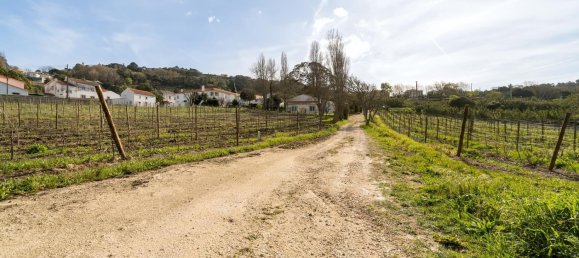 14 bedrooms Castles in Sintra, Portugal No. 144654 5
