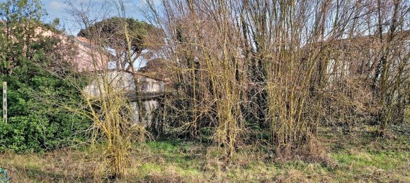 1-Zimmer Grundstück in Chioggia, Italy, Nr. 119894 8