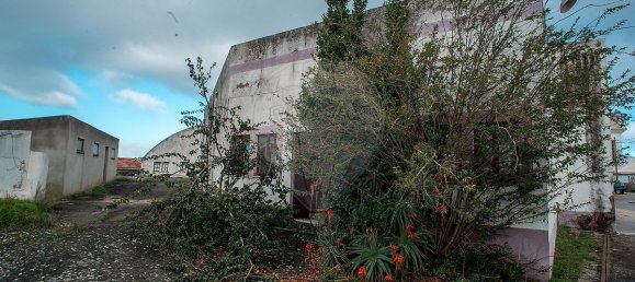 Entrepôt à Cadaval, Portugal 4247m² No. 70620 12