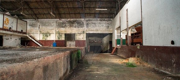 Entrepôt à Cadaval, Portugal 4247m² No. 70620 18