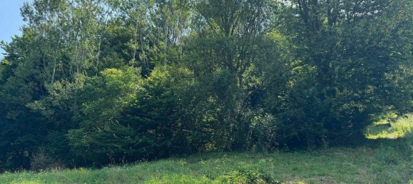 Land in Eggenberg, Austria No. 83634 2