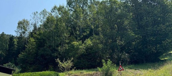 Land in Eggenberg, Austria No. 83634 3