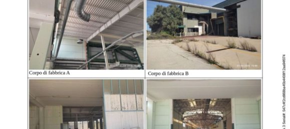 مستودع في Pineto, Italy 43925متر مربع رقم 298736 25