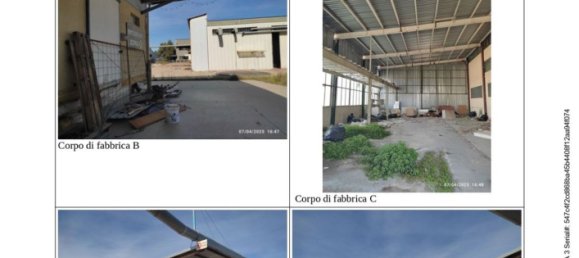 مستودع في Pineto, Italy 43925متر مربع رقم 298736 34