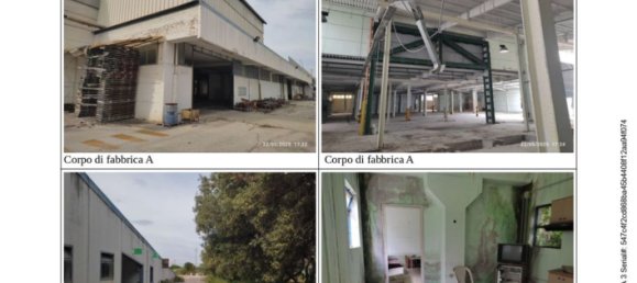 مستودع في Pineto, Italy 43925متر مربع رقم 298736 4