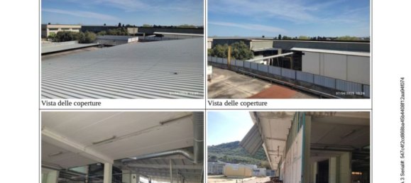 مستودع في Pineto, Italy 43925متر مربع رقم 298736 9