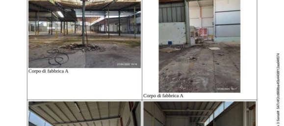 مستودع في Pineto, Italy 43925متر مربع رقم 298736 13