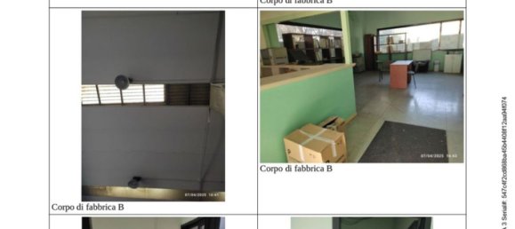 مستودع في Pineto, Italy 43925متر مربع رقم 298736 33