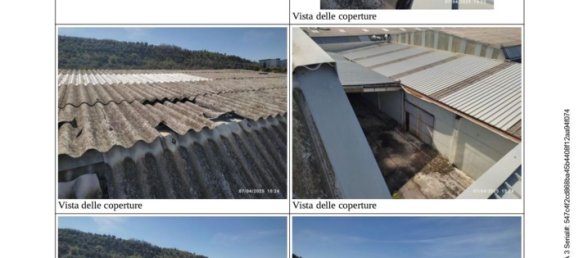 مستودع في Pineto, Italy 43925متر مربع رقم 298736 8